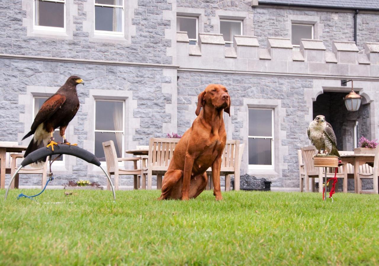 Mount Falcon Estate Ballina  Eksteriør bilde