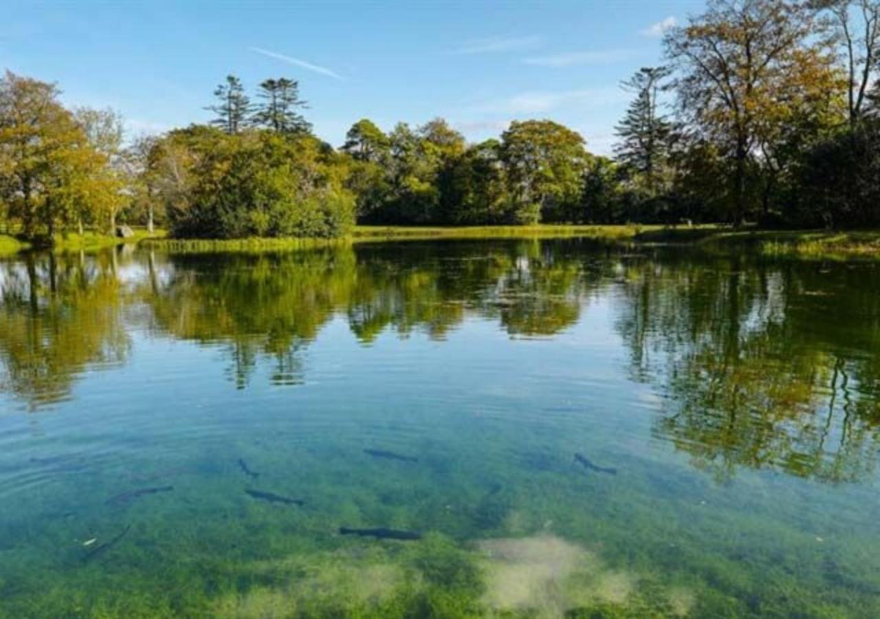 Mount Falcon Estate Ballina  Eksteriør bilde